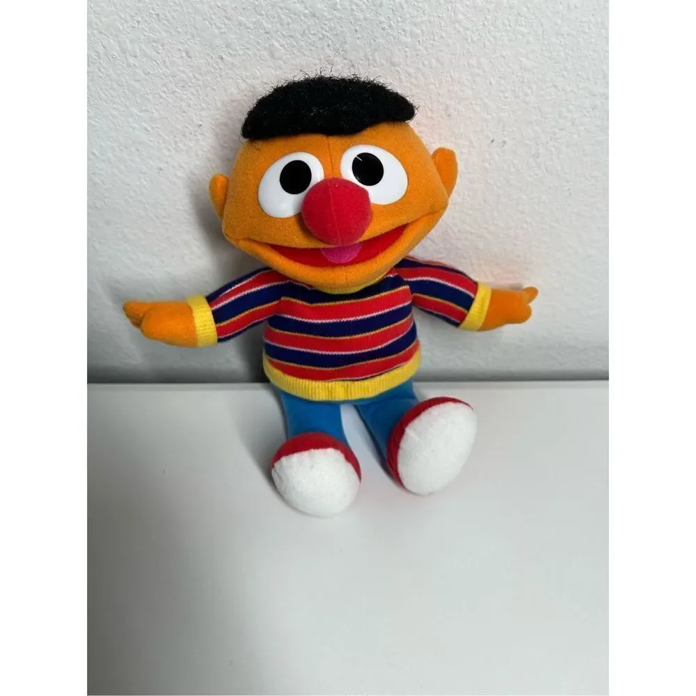 Sesame Street Ernie 11